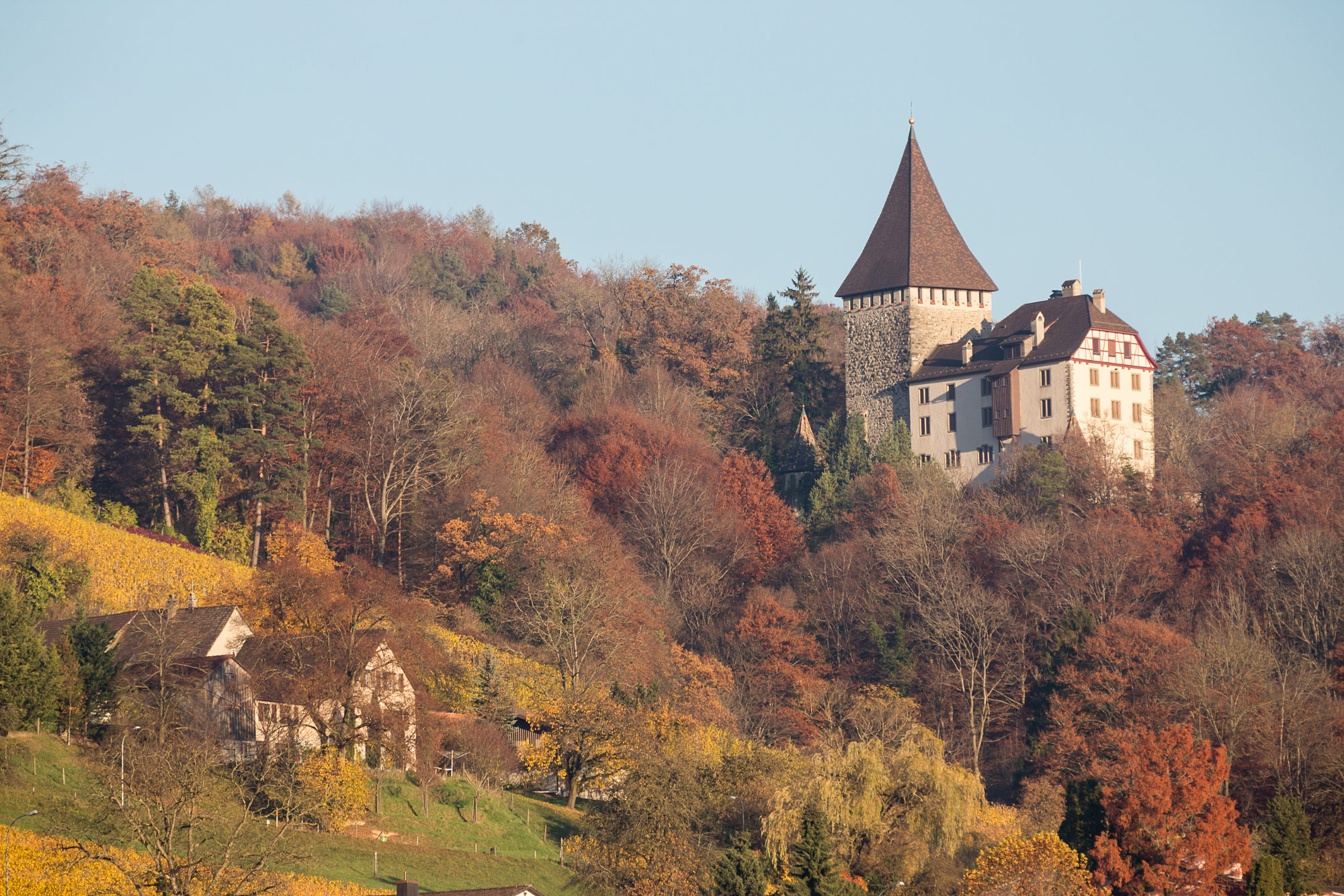 Weinfelden